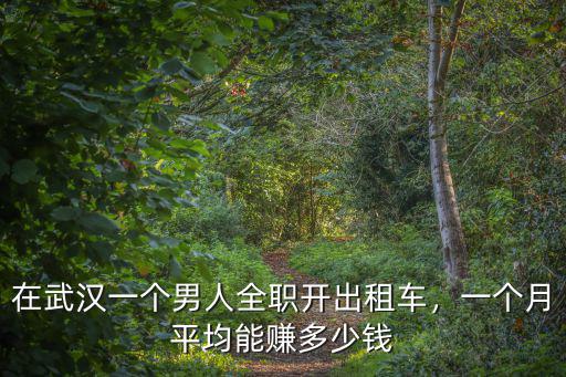 在武漢注冊個出租車公司怎么樣,現(xiàn)在在武漢開滴滴快車怎么樣