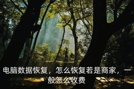 武漢數(shù)據(jù)恢復(fù)怎么收費(fèi),電腦數(shù)據(jù)恢復(fù)
