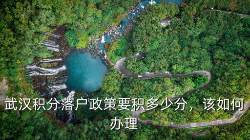 武漢網上積分落戶怎么辦理,武漢積分落戶政策要積多少分