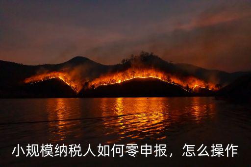 小規(guī)模納稅人如何零申報(bào)，怎么操作