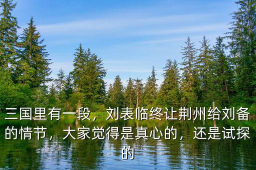 三國里有一段，劉表臨終讓荊州給劉備的情節，大家覺得是真心的，還是試探的