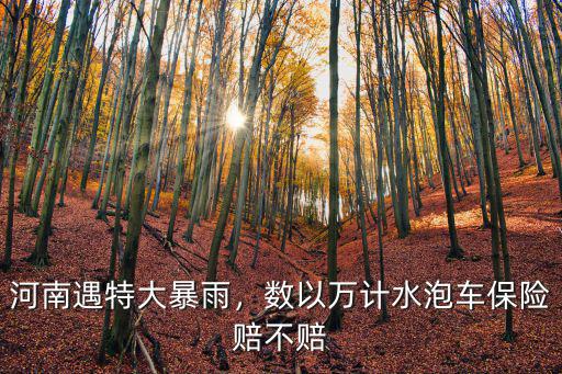 河南遇特大暴雨，數(shù)以萬(wàn)計(jì)水泡車保險(xiǎn)賠不賠