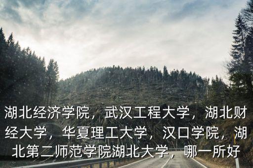 湖北經(jīng)濟(jì)學(xué)院，武漢工程大學(xué)，湖北財(cái)經(jīng)大學(xué)，華夏理工大學(xué)，漢口學(xué)院，湖北第二師范學(xué)院湖北大學(xué)，哪一所好