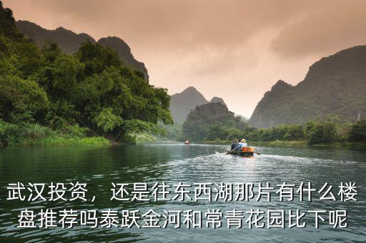 武漢投資，還是往東西湖那片有什么樓盤推薦嗎泰躍金河和常青花園比下呢