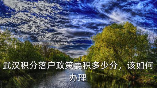 武漢積分落戶怎么查積分,武漢積分落戶政策要積多少分