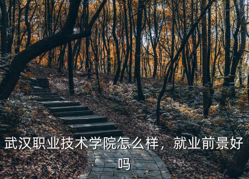 武漢職業(yè)技術(shù)學(xué)院怎么樣，就業(yè)前景好嗎