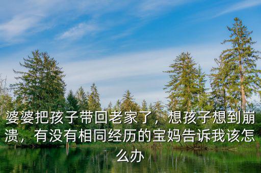 公婆要把孩子帶老家武漢怎么辦,婆婆要把孩子帶回老家