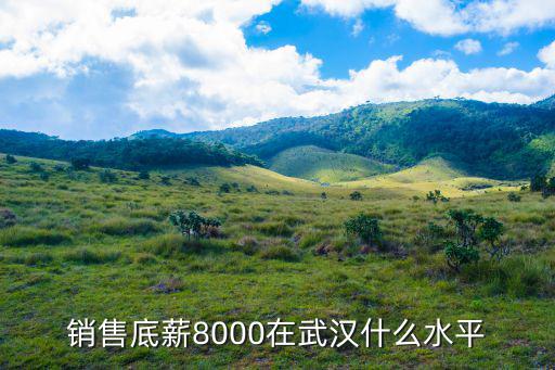 銷售底薪8000在武漢什么水平