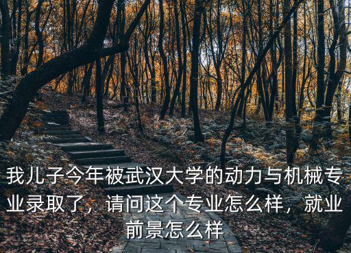 武漢大學的動力與機械怎么樣,武漢大學機械專業怎么樣