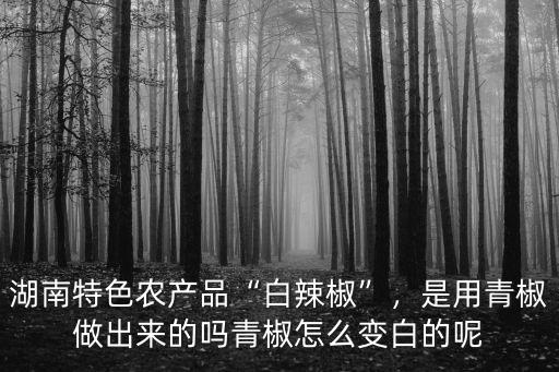湖南特色農產品“白辣椒”，是用青椒做出來的嗎青椒怎么變白的呢