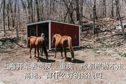 上海開車去武漢、重慶、成都旅游不走高速，有什么好的路線嗎