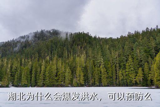 湖北為什么會爆發洪水，可以預防么