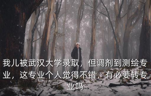 我兒被武漢大學錄取，但調劑到測繪專業，這專業個人覺得不錯，有必要轉專業嗎