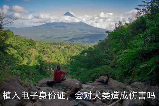 武漢狗狗電子身份證怎么辦,狗狗有指紋嗎