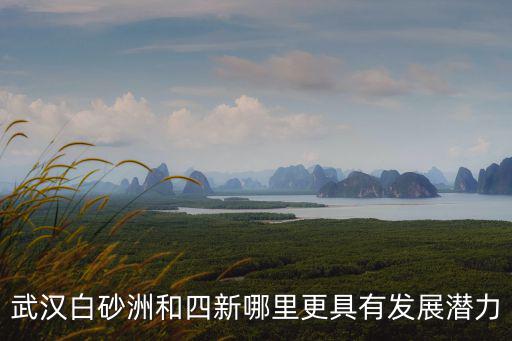 武漢白砂洲和四新哪里更具有發展潛力