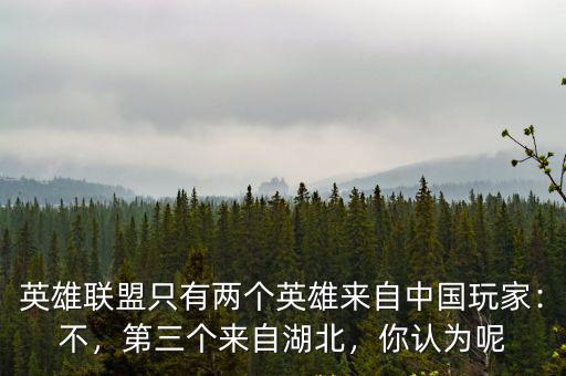 怎么介紹來自湖北,第三個來自湖北
