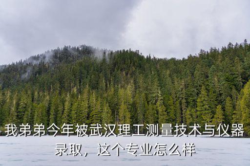我弟弟今年被武漢理工測量技術與儀器錄取，這個專業怎么樣