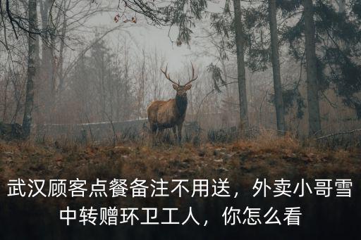 武漢禁摩外賣怎么送,那外賣是怎么送的