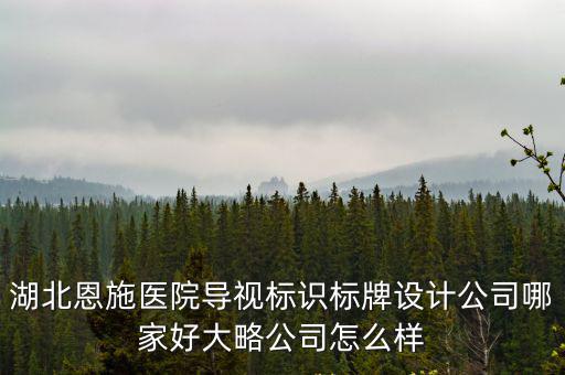 湖北恩施醫(yī)院導(dǎo)視標(biāo)識(shí)標(biāo)牌設(shè)計(jì)公司哪家好大略公司怎么樣