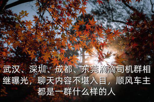 武漢貓奴是怎么樣一群人,順風車主都是一群什么樣的人