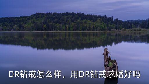 DR鉆戒(武漢凱德西城店)怎么樣,DR鉆戒怎么樣