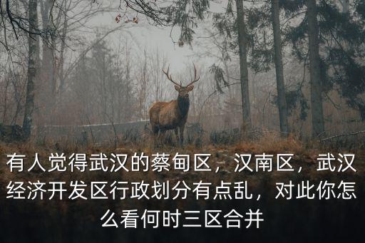 武漢開發區怎么樣,武漢經濟開發區怎么樣