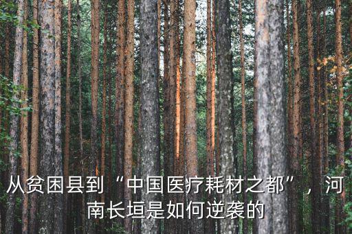 從貧困縣到“中國醫療耗材之都”，河南長垣是如何逆襲的
