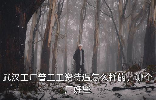 武漢工廠普工工資待遇怎么樣的，哪個廠好些