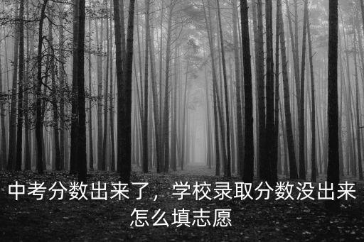 中考分數出來了，學校錄取分數沒出來怎么填志愿