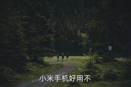 武漢小米手機廠怎么樣,武漢小米公司待遇怎么樣