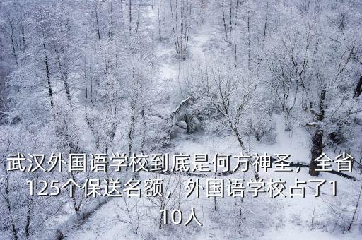 武漢外國語學校到底是何方神圣，全省125個保送名額，外國語學校占了110人