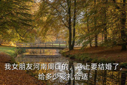 我女朋友河南周口的，馬上要結婚了，給多少彩禮合適