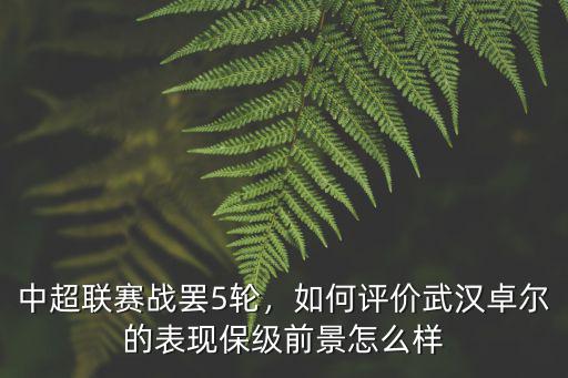 武漢卓爾姚翰林現在怎么樣了,如何評價武漢卓爾的表現