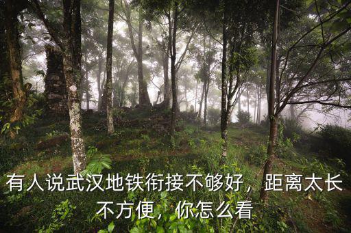 有人說武漢地鐵銜接不夠好，距離太長(zhǎng)不方便，你怎么看