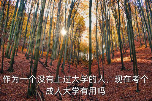 作為一個(gè)沒有上過大學(xué)的人，現(xiàn)在考個(gè)成人大學(xué)有用嗎