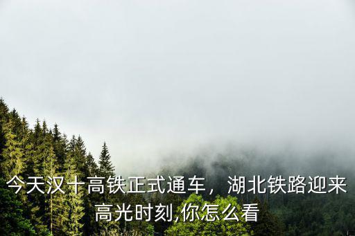 今天漢十高鐵正式通車，湖北鐵路迎來高光時刻,你怎么看