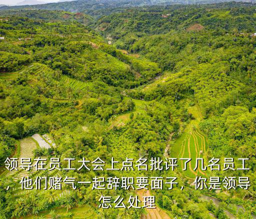 武漢心情領導怎么處理,你是領導怎么處理