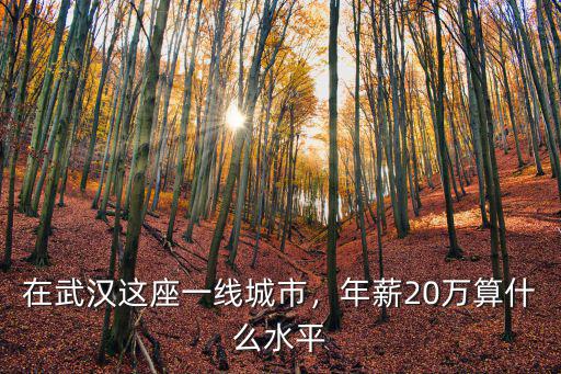武漢年薪30萬怎么樣,武漢年薪10萬算高嗎