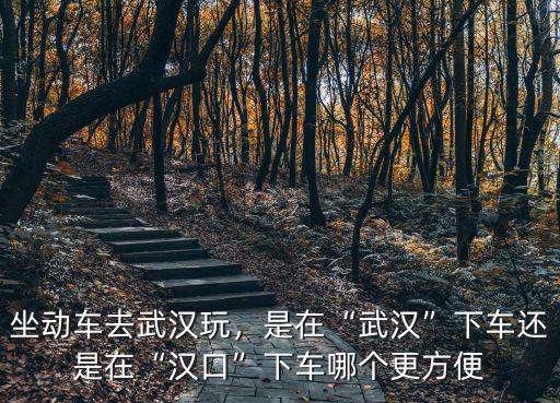 坐動(dòng)車去武漢玩，是在“武漢”下車還是在“漢口”下車哪個(gè)更方便