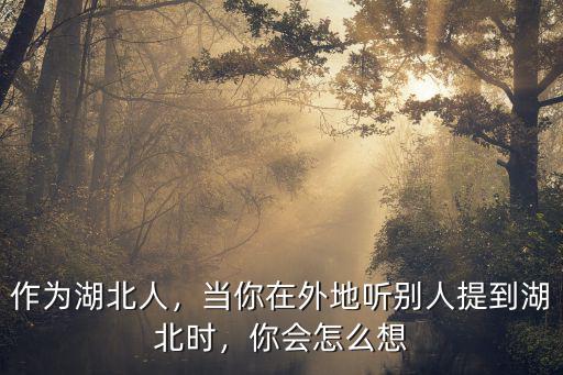 湖北孝感外地人怎么評價,外地人都怎么評價山東人