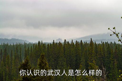 武漢人口音是怎么樣的,你認識的武漢人是怎么樣的