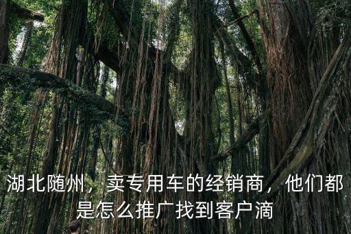 湖北隨州，賣專用車的經銷商，他們都是怎么推廣找到客戶滴