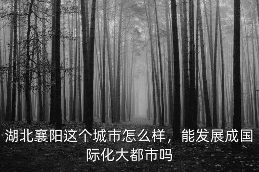 湖北襄陽這個城市怎么樣，能發展成國際化大都市嗎