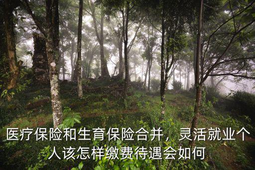 醫(yī)療保險(xiǎn)和生育保險(xiǎn)合并，靈活就業(yè)個(gè)人該怎樣繳費(fèi)待遇會如何