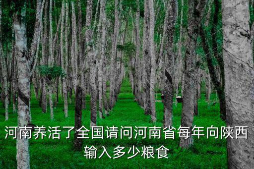 河南養活了全國請問河南省每年向陜西輸入多少糧食