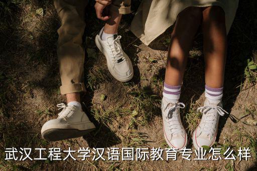 武漢工程大學尹傳奇怎么樣,武漢工程大學怎么樣