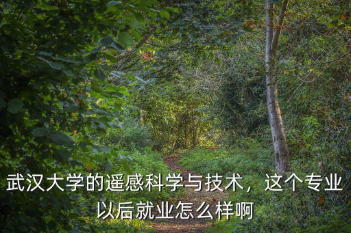 武漢大學的遙感科學與技術，這個專業以后就業怎么樣啊