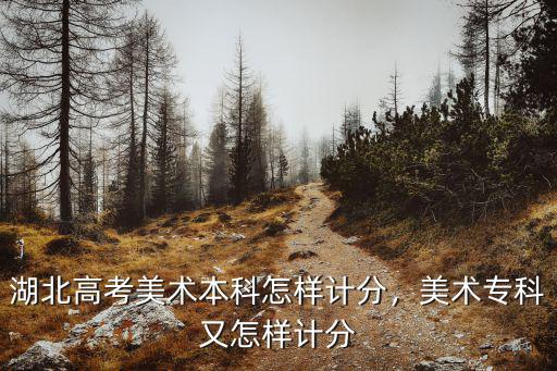 武漢美術生高考分怎么算,湖北高考美術本科怎樣計分