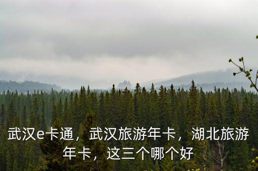 武漢e卡通，武漢旅游年卡，湖北旅游年卡，這三個哪個好