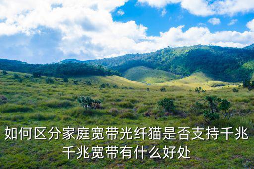 如何區分家庭寬帶光纖貓是否支持千兆千兆寬帶有什么好處